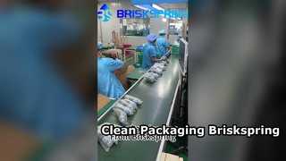 ब्रिस्कस्प्रिंग की अत्यधिक स्वच्छ और व्यवस्थित पैकेजिंग लाइन