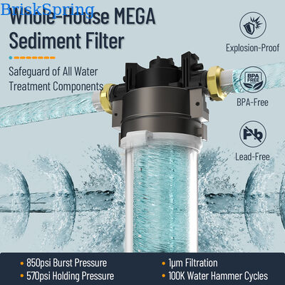 BriskSpring N1-2C-BS Compact Central Water Purifier with 3 T/H Flow Rate and Quick-Release Cartridge for 50,000 L Capacity