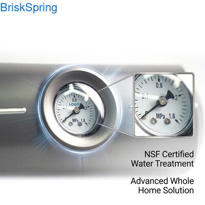 पीतल पूरे घर के लिए जल डिसेलर 5T/H प्रवाह NSF RoHS प्रमाणित