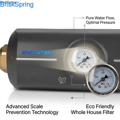 पर्यावरण के अनुकूल गैर विषैले ABS बॉडी एंटी-स्केलिंग फ़िल्टर पूरे घर का वाटर डेस्केलर